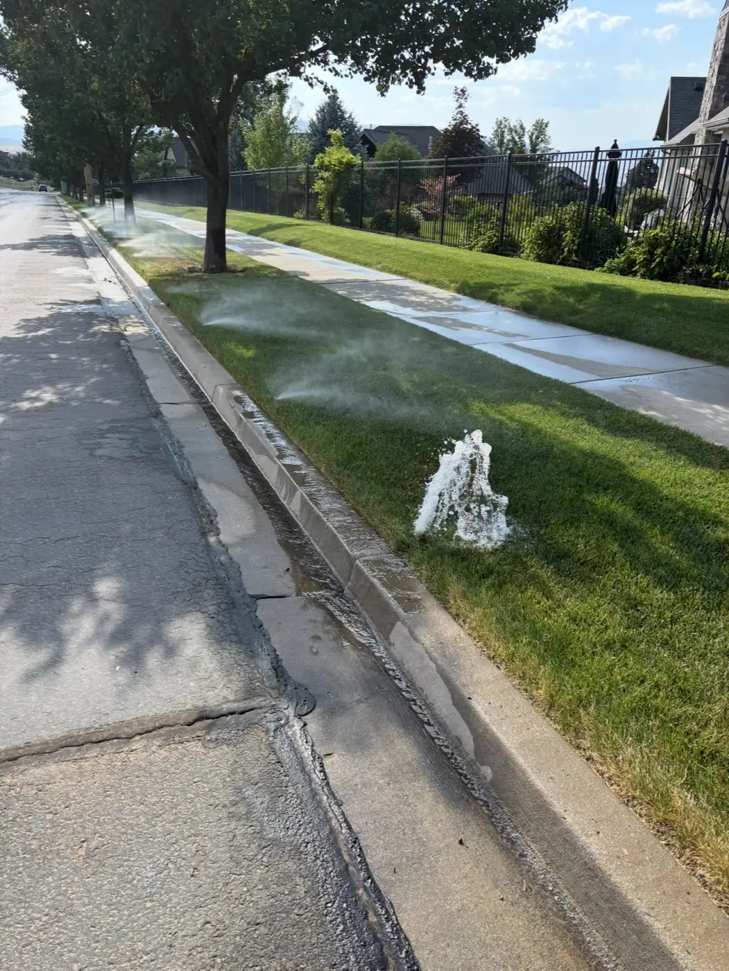 Broken sprinkler head spraying water onto a park strip and sidewalk