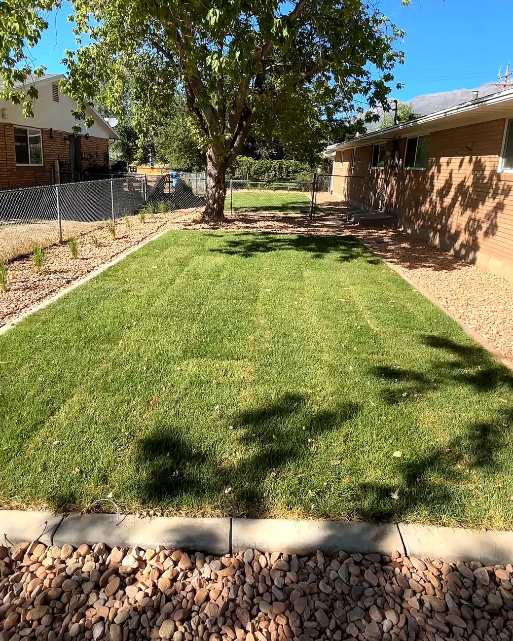 Renovated side yard with new sod, concrete curbing and rock under a shade tree