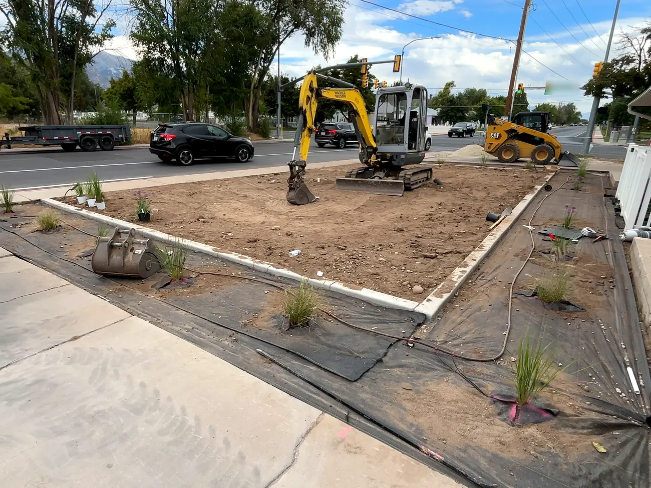 Front yard dug out with new concrete curbing, weed fabric and young grasses, and a mini excavator behind