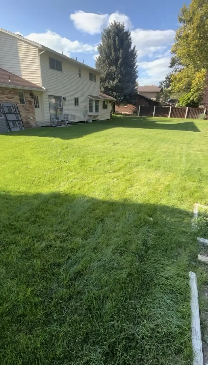 Healthy green backyard lawn with even sprinkler coverage