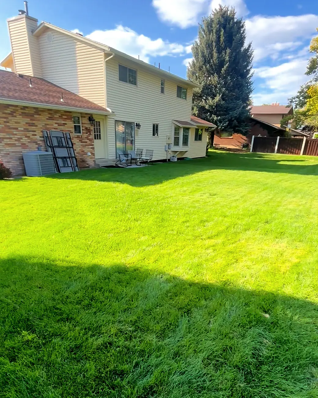 Thick green backyard lawn with even sprinkler coverage
