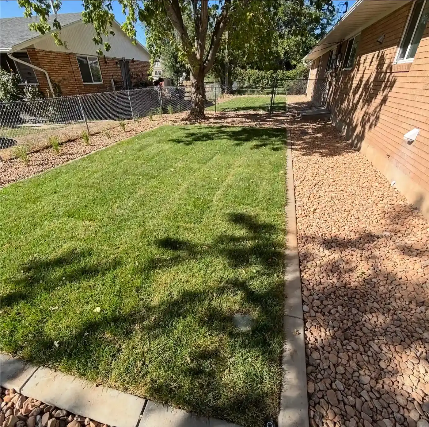 Front lawn with concrete curbing and rock borders