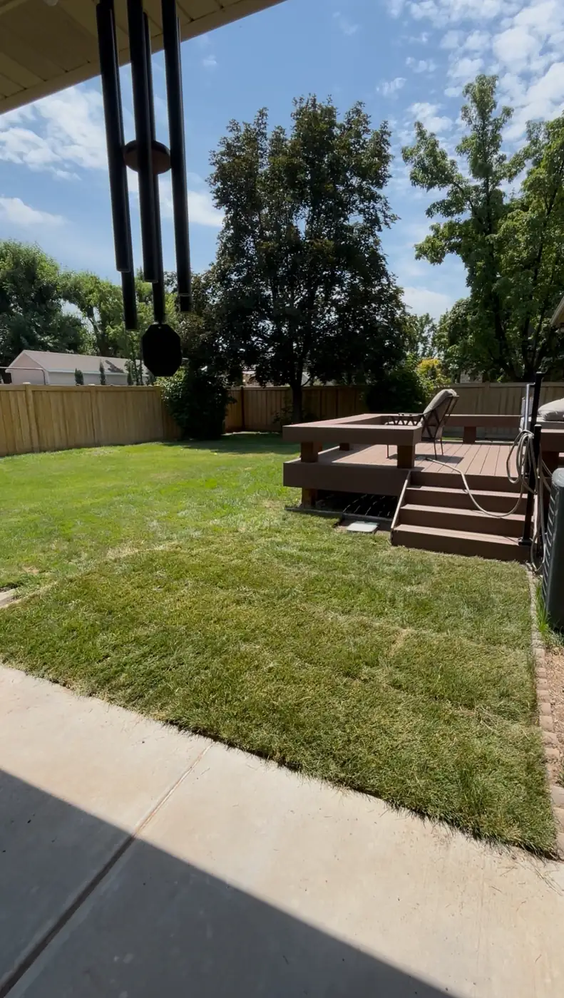 Backyard with fresh sod next to a deck